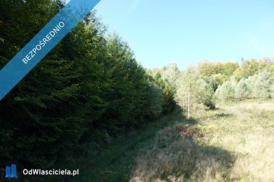 Brenna 253 ha działka inwestycyjna blisko wyciągu - Warszawa  -
mazowieckie Zdjęcie nr 4