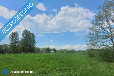 Działka budowlana w centrum Dominikowic wojmałopolskie - Dominikowice  -
małopolskie Zdjęcie nr 4