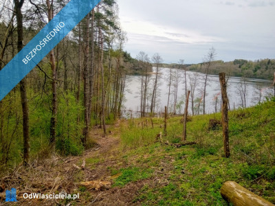 Mazury Stare Juchy działki 3000m2 w okolicach jeziora Garbas położone przy lesie - Stare Juchy  -
warmińsko-mazurskie Zdjęcie nr 6