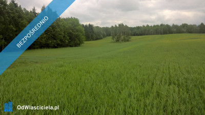 Mazury Stare Juchy działki 3000m2 w okolicach jeziora Garbas położone przy lesie - Stare Juchy  -
warmińsko-mazurskie Zdjęcie nr 8