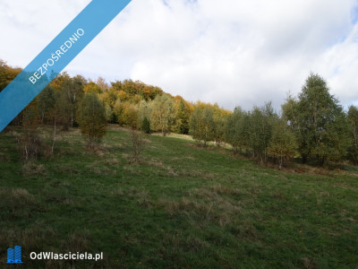 Brenna 253 ha działka inwestycyjna blisko wyciągu - Warszawa  -
mazowieckie Zdjęcie nr 8