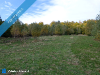 Brenna 253 ha działka inwestycyjna blisko wyciągu - Warszawa  -
mazowieckie Zdjęcie nr 7