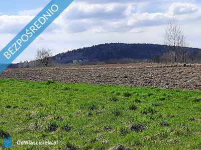 SPRZEDAM PIĘKNĄ DZIAŁKĘ BUDOWLANĄ - Bodzentyn  -
świętokrzyskie Zdjęcie nr 4