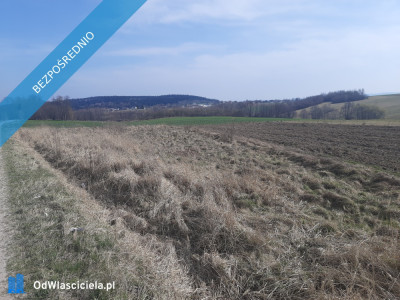 SPRZEDAM DZIAŁKĘ ROLNO-BUDOWLANĄ - Podmielowiec  - świętokrzyskie