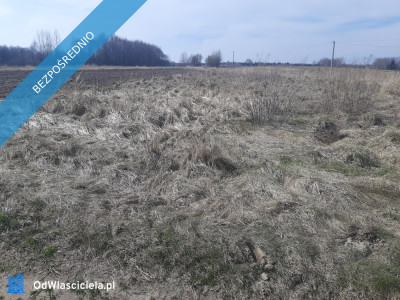 SPRZEDAM DZIAŁKĘ ROLNO-BUDOWLANĄ - Podmielowiec  -
świętokrzyskie Zdjęcie nr 3