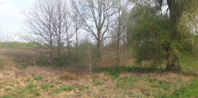 Twoje miejsce na dom wśród zieleni  Koźla 2400 m - Koźla  -
lubuskie Zdjęcie nr 9