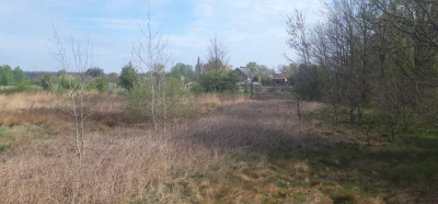 Twoje miejsce na dom wśród zieleni  Koźla 2400 m - Koźla  -
lubuskie Zdjęcie nr 5