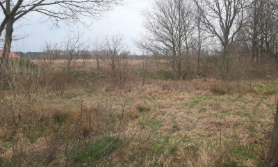 Twoje miejsce na dom wśród zieleni  Koźla 2400 m - Koźla  -
lubuskie Zdjęcie nr 7