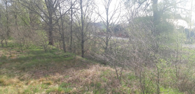 Twoje miejsce na dom wśród zieleni  Koźla 2400 m - Koźla  -
lubuskie Zdjęcie nr 8