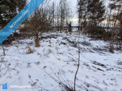 1000 m Działki Budowlanej - Chełstów  -
dolnośląskie Zdjęcie nr 2