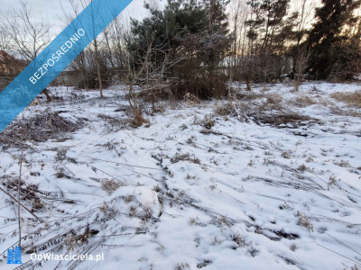 1000 m Działki Budowlanej - Chełstów  -
dolnośląskie Zdjęcie nr 3