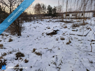 1000 m Działki Budowlanej - Chełstów  -
dolnośląskie Zdjęcie nr 5