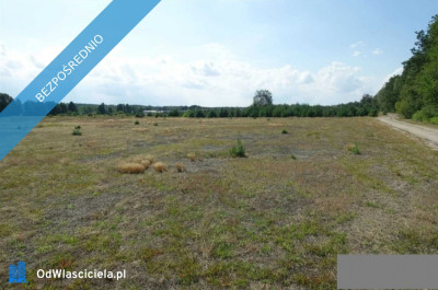 Działka budowlana 234 ha  wieś Ładne Włocławek  38złm2 - Włocławek  -
kujawsko-pomorskie Zdjęcie nr 3