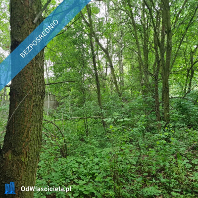 Działka Rzgów Gospodarz ul Kwiatowa 1520 m2  - Gospodarz  -
łódzkie Zdjęcie nr 7