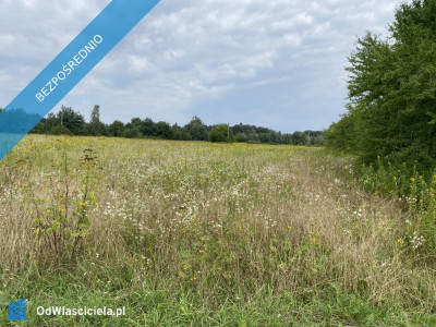 Działka inwestycyjna pod usługi 18 km od centrum Kazimierza Dolnego - Cholewianka  -
lubelskie Zdjęcie nr 7