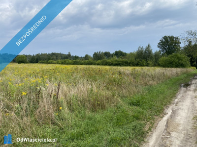 Działka inwestycyjna pod usługi 18 km od centrum Kazimierza Dolnego - Cholewianka  -
lubelskie Zdjęcie nr 8