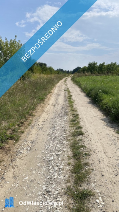 Piękna Działka na Wsi Okale k Kazimierz Dolnego - Okale  -
lubelskie Zdjęcie nr 9