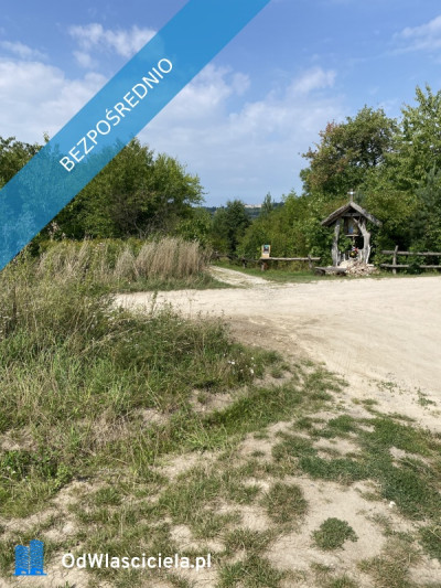 Piękna Działka na Wsi Okale k Kazimierz Dolnego - Okale  -
lubelskie Zdjęcie nr 10