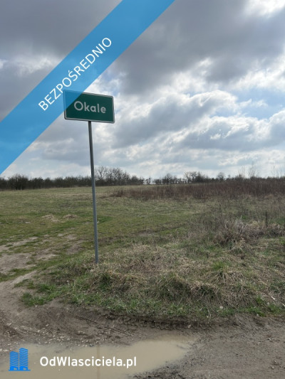 Piękna Działka na Wsi Okale k Kazimierz Dolnego - Okale  -
lubelskie Zdjęcie nr 3