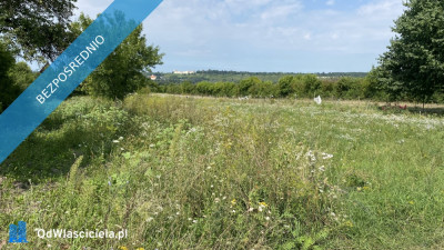 Piękna Działka na Wsi Okale k Kazimierz Dolnego - Okale  -
lubelskie Zdjęcie nr 5