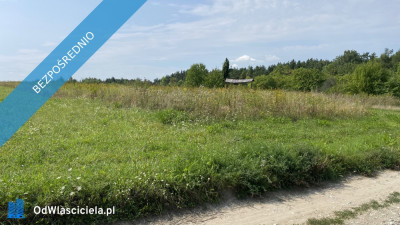 Piękna Działka na Wsi Okale k Kazimierz Dolnego - Okale  -
lubelskie Zdjęcie nr 6