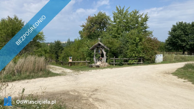 Piękna Działka na Wsi Okale k Kazimierz Dolnego - Okale  -
lubelskie Zdjęcie nr 7