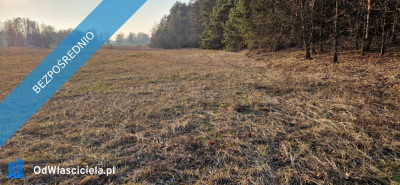 Sprzedam działkę budowlaną Stara Wieś gm Rząśnik powiat wyszkowski mazowieckie - Rząśnik  -
mazowieckie Zdjęcie nr 10