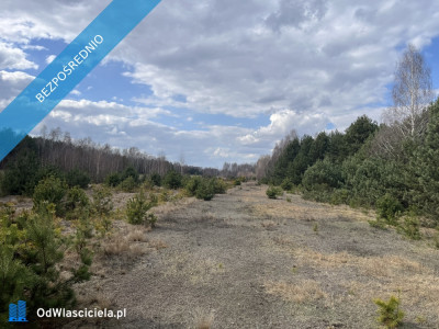 Dwie działki rolne nr 205 i 206 303 ha przy drodze Łączka gm Kotuń - Łączka  -
mazowieckie Zdjęcie nr 9