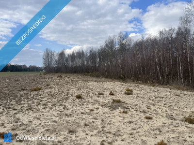 Dwie działki rolne nr 205 i 206 303 ha przy drodze Łączka gm Kotuń - Łączka  -
mazowieckie Zdjęcie nr 10