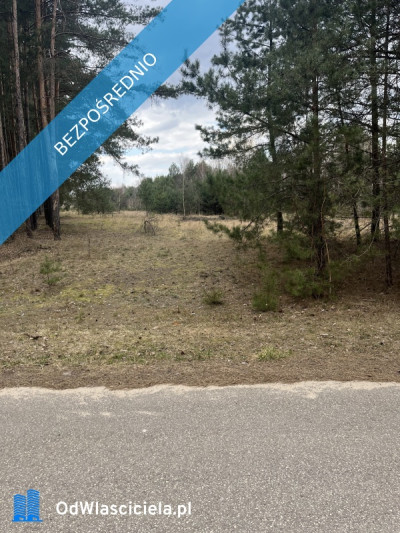 Dwie działki rolne nr 205 i 206 303 ha przy drodze Łączka gm Kotuń - Łączka  -
mazowieckie Zdjęcie nr 11