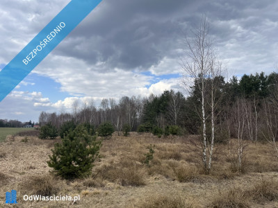 Dwie działki rolne nr 205 i 206 303 ha przy drodze Łączka gm Kotuń - Łączka  -
mazowieckie Zdjęcie nr 7