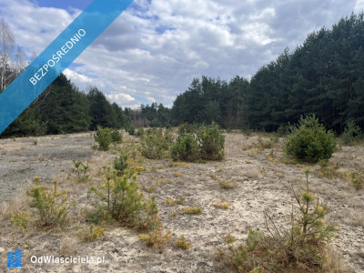 Dwie działki rolne nr 205 i 206 303 ha przy drodze Łączka gm Kotuń - Łączka  -
mazowieckie Zdjęcie nr 8