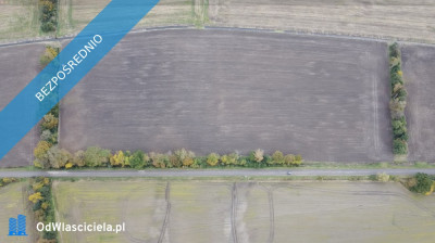 GdańskWiślinka 919 ha przy S7 Działki Przemysłowe UP Z MPZP Okazja - Wiślinka  -
pomorskie Zdjęcie nr 13