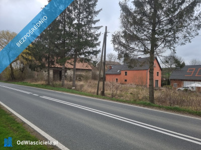 Działka siedliskowa 4200m2 we wsi Niedźwiednik 57-224 w rejonie Ziębic - Niedźwiednik  - dolnośląskie