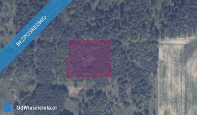 Działka 8613 w Granicznej Wsi wraz z dostępem do drogi - Graniczna Wieś  - pomorskie