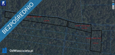 Las działka leśna 075ha sosna 80 lat Terlików - Terlików  -
mazowieckie Zdjęcie nr 2