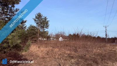 Działka budowlana Rosocha-Kolonia - Rosocha-Kolonia  -
wielkopolskie Zdjęcie nr 2