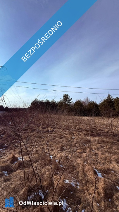 Działka budowlana Rosocha-Kolonia - Rosocha-Kolonia  -
wielkopolskie Zdjęcie nr 3