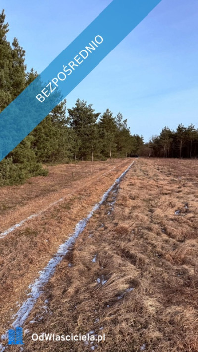 Działka budowlana Rosocha-Kolonia - Rosocha-Kolonia  -
wielkopolskie Zdjęcie nr 6