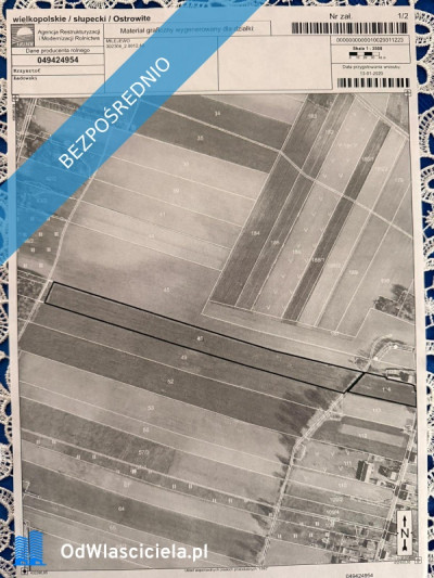 Siedlisko  166 ha z Lasem i Działką Budowlaną  W MILEJEWIE GM OSTROWITE - Milejewo  -
wielkopolskie Zdjęcie nr 2