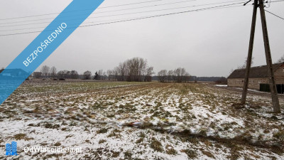 Siedlisko  166 ha z Lasem i Działką Budowlaną  W MILEJEWIE GM OSTROWITE - Milejewo  -
wielkopolskie Zdjęcie nr 7