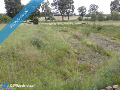 KASZUBY DZIAŁKA UZBROJONA WARUNKI ZABUDOWY - Skrzydłowo  -
pomorskie Zdjęcie nr 5