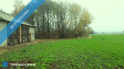 Działka siedliskowa z budynkiem - Płońsk  -
mazowieckie Zdjęcie nr 4