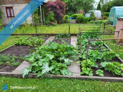 Działka ROD Mickiewicza - Mickiewicza  -
podlaskie Zdjęcie nr 14