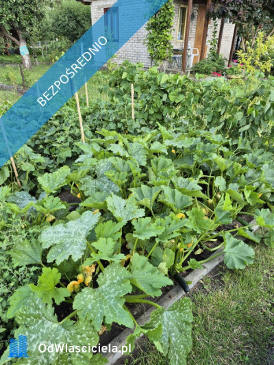 Działka ROD Mickiewicza - Mickiewicza  -
podlaskie Zdjęcie nr 15