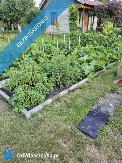 Działka ROD Mickiewicza - Mickiewicza  -
podlaskie Zdjęcie nr 16