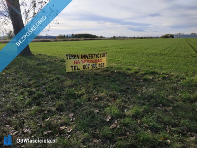 Na sprzedaż sprzedaż nieruchomości gruntowych Wierzbice woj dolnośląskie  5683 - Wierzbice  - dolnośląskie