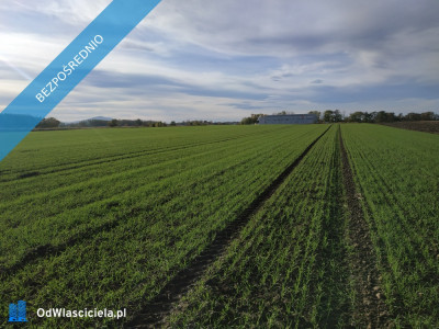 Na sprzedaż sprzedaż nieruchomości gruntowych Wierzbice woj dolnośląskie  5683 - Wierzbice  -
dolnośląskie Zdjęcie nr 3