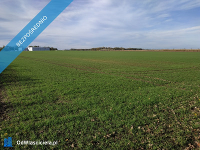 Na sprzedaż sprzedaż nieruchomości gruntowych Wierzbice woj dolnośląskie  5683 - Wierzbice  -
dolnośląskie Zdjęcie nr 4