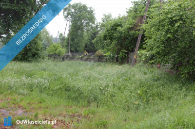 Sprzedam działkę budowlaną z dojazdem asfaltowym - Żeliszów  - dolnośląskie